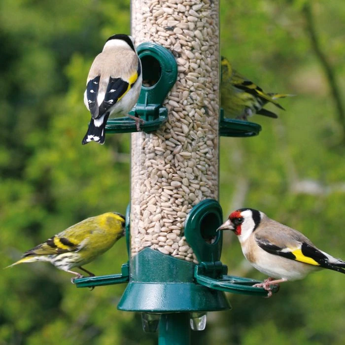 National Trust 4 Port Metal Seed Feeder 4 National Trust 4 Port Metal Seed Feeder - Image 2