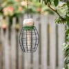 LONA Peanut Butter Feeder Guardian V1, Oval -Bird Supply Store 310480119 lona feeding cage v1 oval angy low res 0851