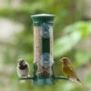 Discovery Plastic Window Seed Feeder -Bird Supply Store 31067 window feeder