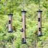 Apollo Bird Seed Feeder Range -Bird Supply Store 310950119 310960119 31090119 jvg 6409 4