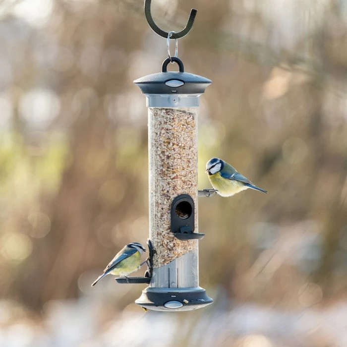 Apollo Bird Seed Feeder Range 7 Apollo Bird Seed Feeder Range - Image 5