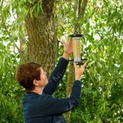 National Trust Apollo 2 Port Bird Seed Feeder -Bird Supply Store 310980119 5