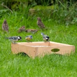 Kandava Ground Bird Feeding Table -Bird Supply Store 311030119 qm 4179