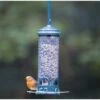 Squirrel Buster Mini Seed Feeder -Bird Supply Store 31106 3