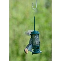 Squirrel Buster Seed Feeder 8 Squirrel Buster Seed Feeder -Bird Supply Store 31107