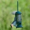 Squirrel Buster Seed Feeder -Bird Supply Store 31107 1