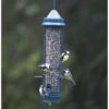 Squirrel Buster Classic Seed Feeder -Bird Supply Store 31108 4