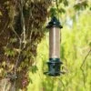 Squirrel Buster PLUS Seed Feeder -Bird Supply Store 311110111 4