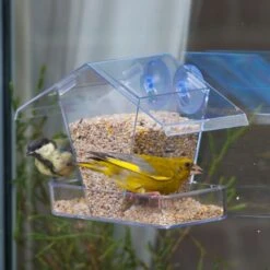 National Trust Crete Window Feeder -Bird Supply Store 31321 1