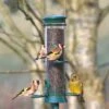 Challenger 4 Port Nyjer Feeder -Bird Supply Store 32000 2