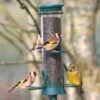 Defender 4 Port Metal Nyjer Seed Feeder 2 Defender 4 Port Metal Nyjer Seed Feeder -Bird Supply Store 32030 1