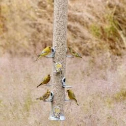 Conqueror XXL 10 Port Seed Feeder -Bird Supply Store 33010a