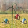 Vierno Tavern Bird Seed Feeder -Bird Supply Store 34343 34344 34345 2