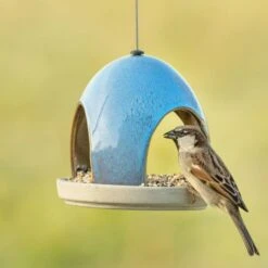 National Trust Vierno Tavern Bird Seed Feeder (Blue) 9 National Trust Vierno Tavern Bird Seed Feeder (Blue) -Bird Supply Store 34345 2