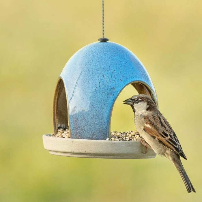 National Trust Vierno Tavern Bird Seed Feeder (Blue) 5 National Trust Vierno Tavern Bird Seed Feeder (Blue) - Image 3