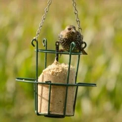 Metal Peanut Cake Feeder -Bird Supply Store 35000 10043 energiekuchen halter energiekuchen stare 2