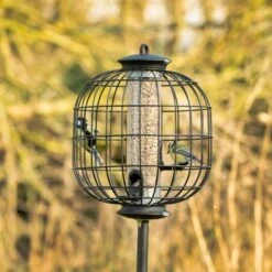 Guardian For Apollo 3 Port Seed Feeder 9 Guardian For Apollo 3 Port Seed Feeder -Bird Supply Store 35002 7
