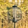 Apollo 3 Port Seed Feeder With Guardian -Bird Supply Store 35002 7 1