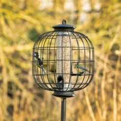 Apollo 3 Port Seed Feeder With Guardian