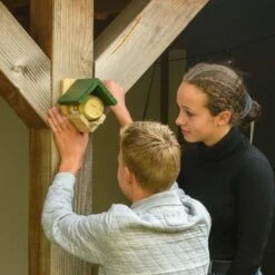 National Trust Dublin Peanut Butter Feeder -Bird Supply Store 350260121 5