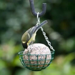 Giant Fat Ball Feeder -Bird Supply Store 35027 1 1 1