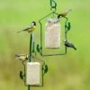 National Trust Peanut Cake Tube Hanger 2 National Trust Peanut Cake Tube Hanger -Bird Supply Store 35051 35057 pindacakehanger ah 0574 bew.1 1
