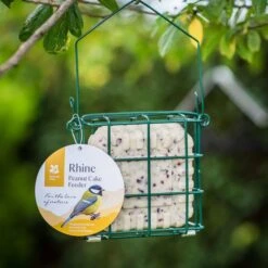 National Trust Rhine Peanut Cake Square Feeder 8 National Trust Rhine Peanut Cake Square Feeder -Bird Supply Store 350520621 national trust rhine peanut cake square feeder outdoor