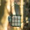 National Trust Rhine Peanut Cake Square Feeder -Bird Supply Store 35052 3
