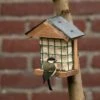 Ohio Slate Peanut Cake Square Bird Feeder -Bird Supply Store 35079 wand energieblockhalter ohio schieferdach