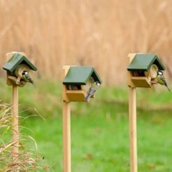 Pole Mounted Dublin Peanut Butter Feeder -Bird Supply Store 35103 35104 2 2 2
