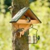 Yellowstone Wall Mounted Bird Feeder -Bird Supply Store 35126 02 1