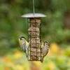 Adelaide Metal Fat Ball Bird Feeder 1 Adelaide Metal Fat Ball Bird Feeder -Bird Supply Store 35143 02
