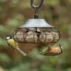 Fremantle Fat Ball Bird Feeder -Bird Supply Store 35148 04