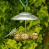 Bunbury Silver Fat Ball And Peanut Butter Bar Bird Feeder 2 Bunbury Silver Fat Ball And Peanut Butter Bar Bird Feeder -Bird Supply Store 35156 5