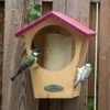 Oregon Peanut Cake Bird Feeder -Bird Supply Store 351570119 04