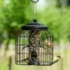 Brussels Seed Bird Feeder Guardian Pack 2 Brussels Seed Bird Feeder Guardian Pack -Bird Supply Store 351580119 04