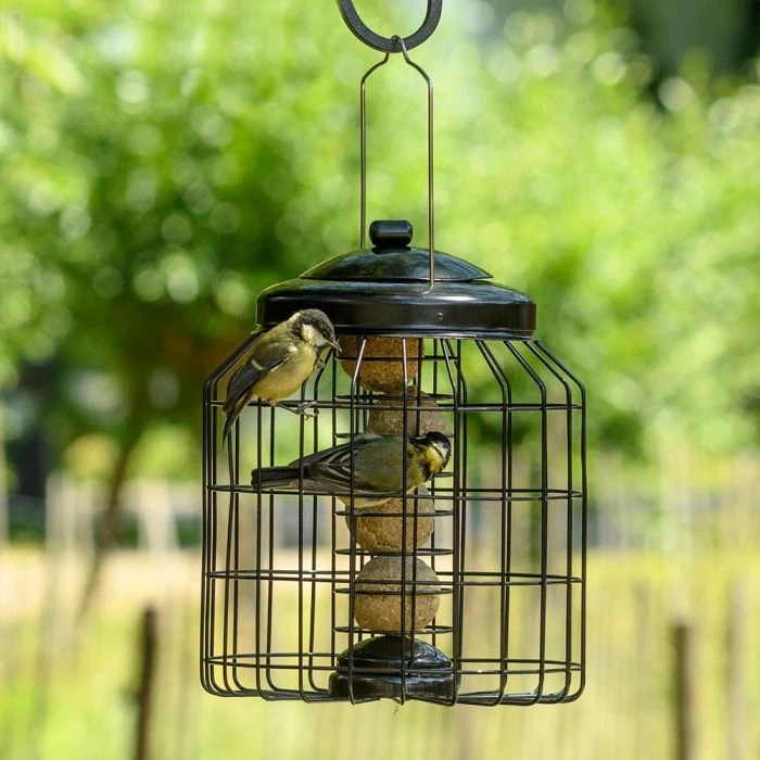 Brussels Fat Ball Bird Feeder Guardian Pack 5 Brussels Fat Ball Bird Feeder Guardian Pack - Image 3