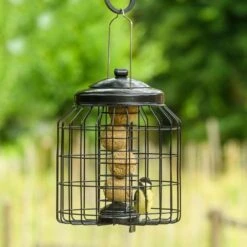 Brussels Bird Feeder Guardians - Bundle Of 3 12 Brussels Bird Feeder Guardians - Bundle Of 3 -Bird Supply Store 351590119 04 1