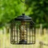 Brussels Fat Ball Bird Feeder Guardian Pack 1 Brussels Fat Ball Bird Feeder Guardian Pack -Bird Supply Store 351590119 05