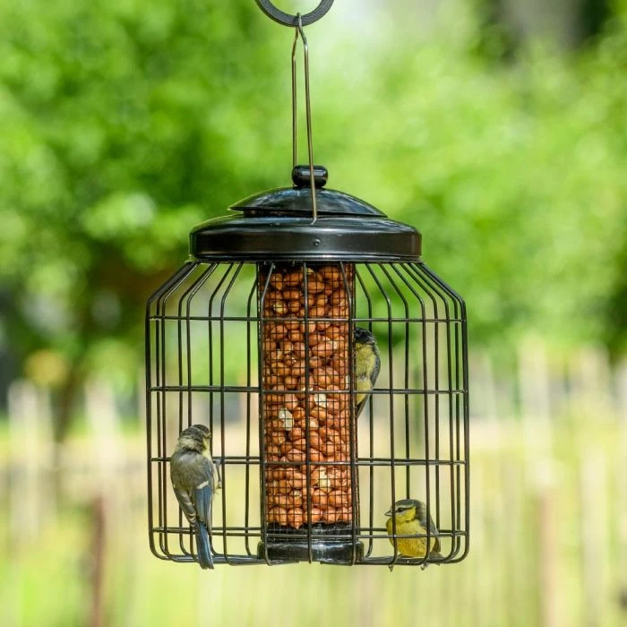 Brussels Bird Feeder Guardians - Bundle Of 3 4 Brussels Bird Feeder Guardians - Bundle Of 3 - Image 2