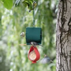 Malibu Peanut Butter Jar Holder Bird Feeder -Bird Supply Store 35175 35176 qm 1654 1