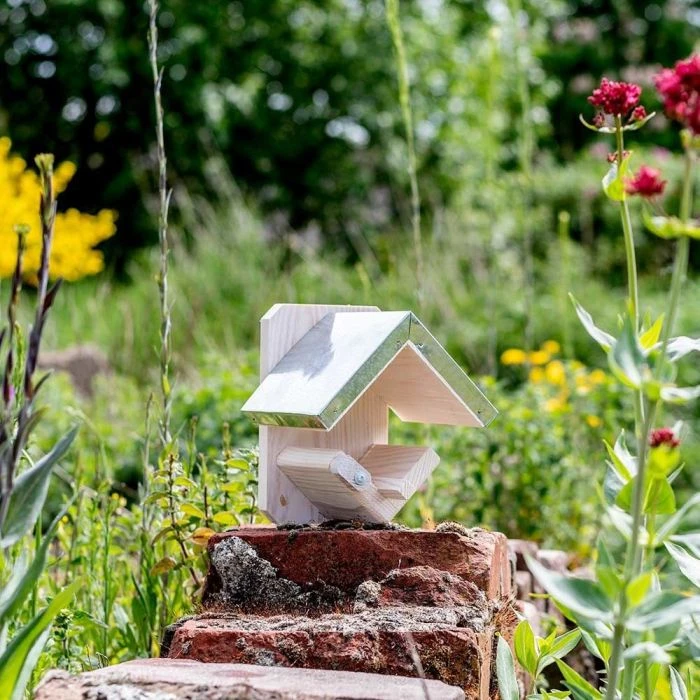 Kotka Peanut Butter Feeder 4 Kotka Peanut Butter Feeder - Image 2