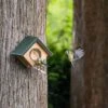 Cork Peanut Butter Wall Feeder -Bird Supply Store 351890119 cork peanut butter wall feeder sw low res 0600