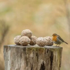 Organic Fat Balls - 6 Pack