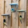 SingingFriend FeedR Bird Seed Feeder -Bird Supply Store 37003 37002 37004