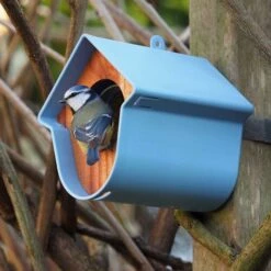 SingingFriend Evie Peanut Butter Bird Feeder -Bird Supply Store 37009 1