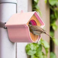 SingingFriend Evie Peanut Butter Bird Feeder -Bird Supply Store 37010 04 1