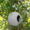 SingingFriend Bird Feeder Lisa (Grey) -Bird Supply Store 370210180 lisa greyqm 5656