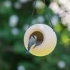 SingingFriend Bird Feeder Lisa (dusty Beige) 2 SingingFriend Bird Feeder Lisa (dusty Beige) -Bird Supply Store 370230180 qm 5600 1