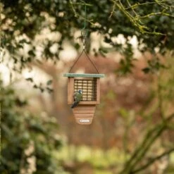 National Trust Peanut Cake Squares - Bundle Of 3 7 National Trust Peanut Cake Squares - Bundle Of 3 -Bird Supply Store 37030